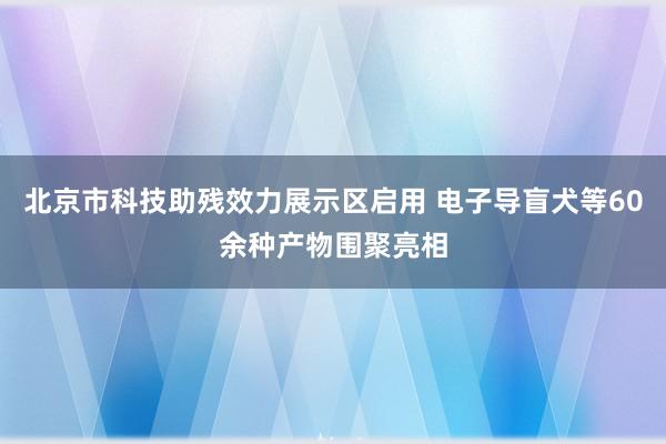 北京市科技助残效力展示区启用 电子导盲犬等60余种产物围聚亮相